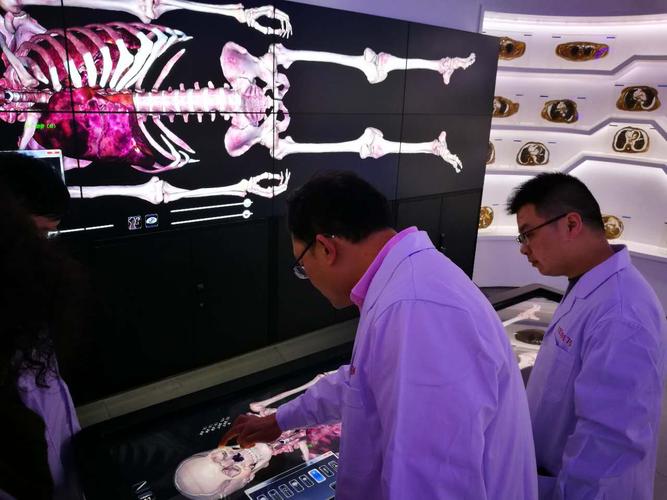 裸眼3D解剖教学系统