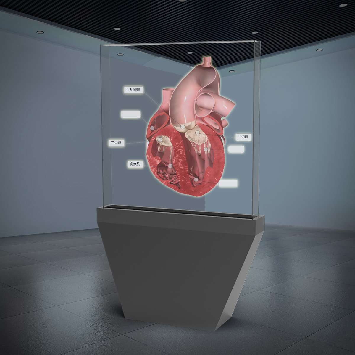 VR、AR科普展馆